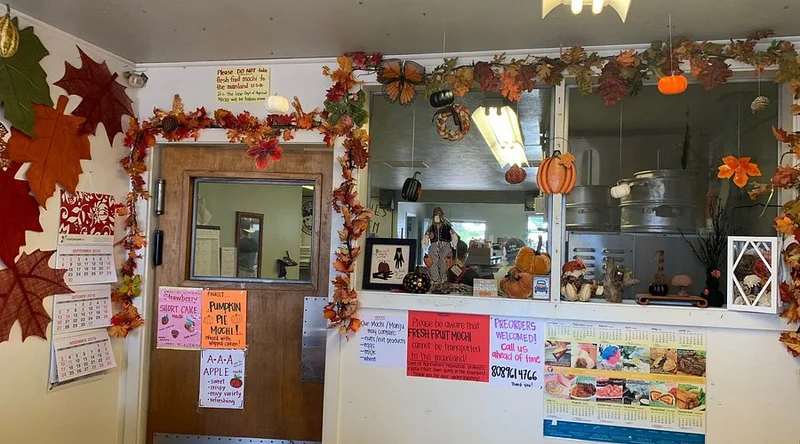 Two Ladies Kitchen - Best Japanese Restaurants in Big Island