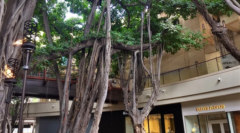Eating House 1849 by Roy Yamaguchi - Best Steakhouse Restaurants in Honolulu