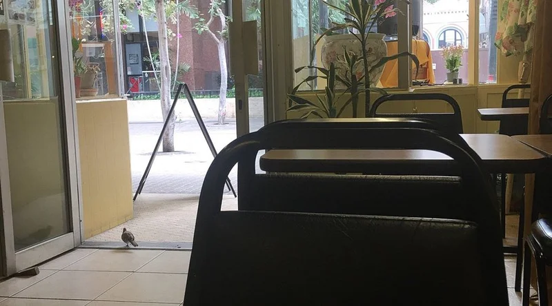 Loving Hut - Best Vegan restaurants in Honolulu