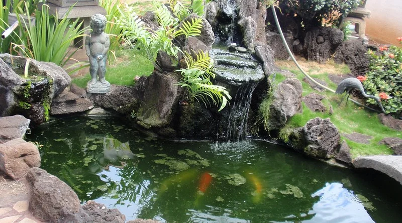 Sekiya's Restaurant & Deli - Best Japanese Restaurants in Oahu