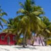 Taylored meals - Cafe in Big Island