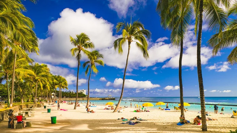 Pan's Kitchen - Kaneohe, Hawaii