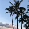 Beachwalk Cafe - Cafe in Maui
