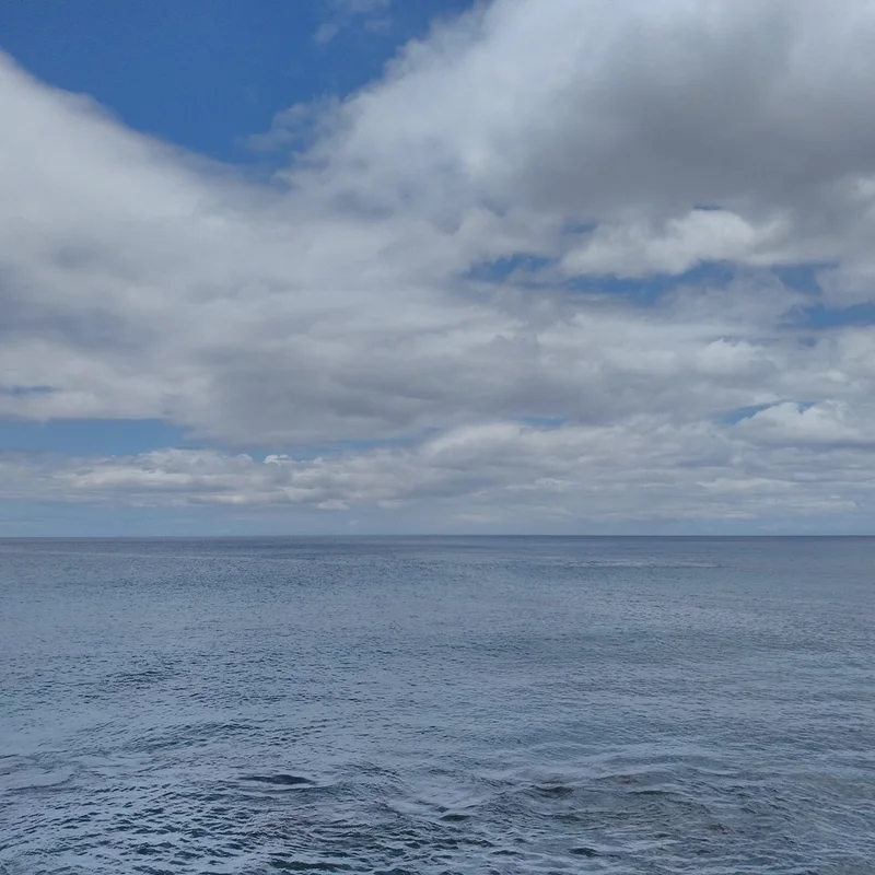 Burger King - Waianae Restaurant Image